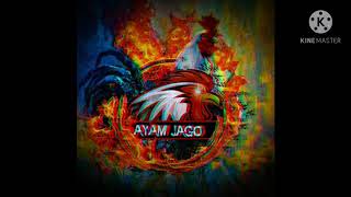 Download Lagu ORIGINAL AMPUN BANG JAGO SONG MP3