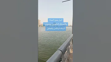 المصريين احلى ناس مصر 