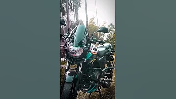 pulsar 125 modified short video #bajaj #pulsar #trending #bike #viral #shorts #ytshorts