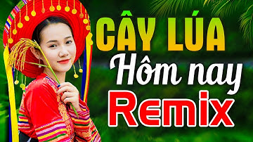 HÁT VỀ CÂY LÚA HÔM NAY REMIX - LK Nhạc Đỏ Cách Mạng Kháng Chiến Remix Bass Căng Cực Hay