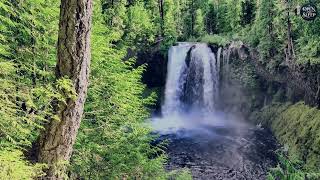 Waterfall Sounds for Sleep | No Music | 2 Hours