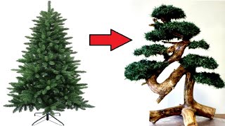 Make a BONSAI from an old Christmas Tree | Bonsai Art | Bonsai Tutorial