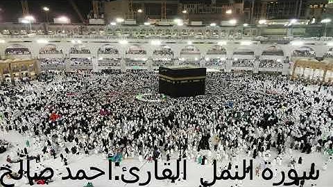 سورة النمل كاملة❤️💜القارئ:أحمد صالح