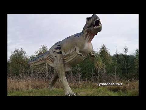 Video: Dezelfde Leeftijd Als Dinosaurussen - Alternatieve Mening