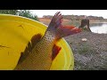 Ловля карпа осенью на ставке и на реке (две рыбалки в одном видео) Сентябрь .  My fishing