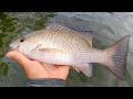 Worth Watching (Saltwater Fishing Florida)