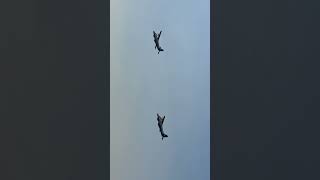 Bangladesh Navy's 2x Dornier Do228NG crossed over 2x AW109 during Victory Day Flypast Practice
