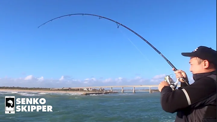 Craziest Pier Fishing COMPILATION! Sebastian Inlet, Florida