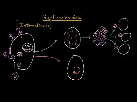 Video: ¿Qué es la latencia de replicación?