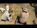 Dinosaur Fossil Discovery and Paleontology