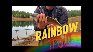 PARADISE RAINBOWS #fishing #fish #short #explore #outdoors #fun #fishingvideo #bass #latestnews