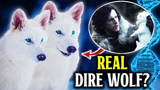 They Didn’t Bring Back Dire Wolves… They Created Something Else Net Worth