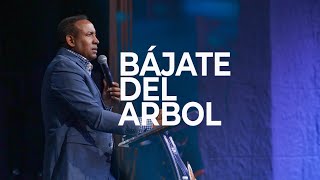 Bájate del Arbol, para que lo conozcas  | Pastor Juan Carlos Harrigan