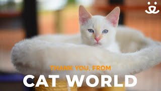 Thank you from Cat World at Best Friends Animal Sanctuary