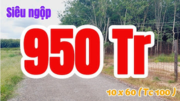 Đất Dầu Tiếng | Bán gấp lô đất 10 x 60 ( tc 100 ) Giá rẽ#651