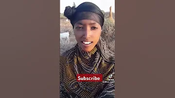 Dhaanto Cusub 