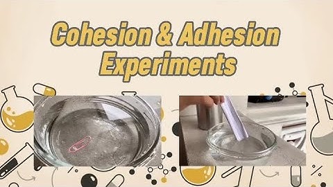Vlog CO2 | Cohesion and Adhesion Simple Experiments for School Project/Purposes