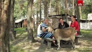 Віра Зиль с.Сварицевичі, Полісся