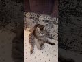 УЙДУТ ВСЕ БОЛИ И НЕДОМАГАНИЯ! НЕ ЛЕНИСЬ
