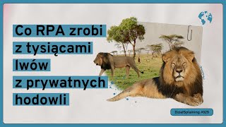 Co RPA zrobi z tysiącami lwów z prywatnych hodowli (DziałSplaining#029)