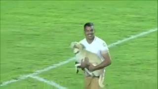 Funny dogs | Dog in football stadium