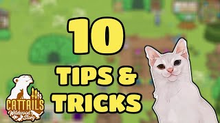 10 Tips & Tricks for Cattails Wildwood Story | Beginner Guide