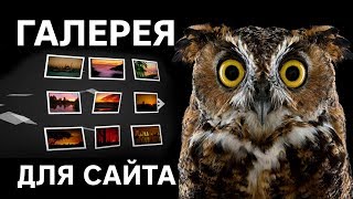 видео Nextgen Gallery – WordPress плагин создания галереи для сайта и слайдшоу