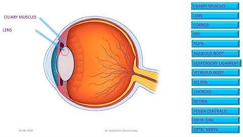 LESSON 2 | OPTICS | Part 5 |Class 10 | Science | English Medium | Dr. Subhashini
