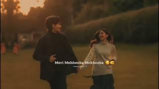 Huron Ki Malika Hai pariyon ki Rani Hai Meri Mehbooba ( Slowed Reverb ) -Aesthetic Status 