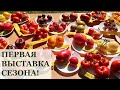 ПЕРВАЯ ВЫСТАВКА томатов в этом сезоне / САУЛКРАСТЫ