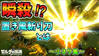 ガノンブレイクダンス･神々しすぎるマスソ･置き風斬り刀で敵瞬殺！？など小ネタ集【ブレワイ BotW】裏技 バグ 検証 ゆっくり実況 glitch screenshot 4