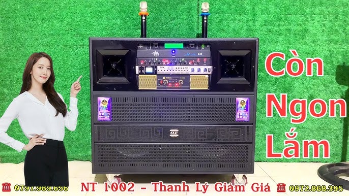 THANH LÝ LOA KÉO ĐIỆN CÔNG SUẤT CỰC LỚN - ÂM THANH HAY ✓NT 1002 ...