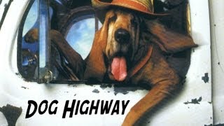 Dog Highway - Bruce Springsteen Tribute by Animal Songs 6,024 views 10 years ago 2 minutes, 29 seconds