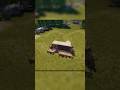 3x1 BASE Building in rust #rust