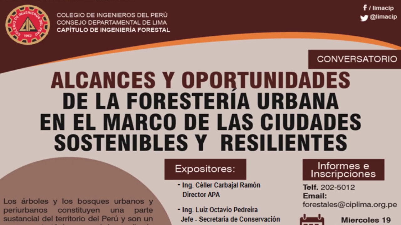 Alcances y oportunidades de la forestería urbana en el marco de las ciudades sostenibles (2/2)