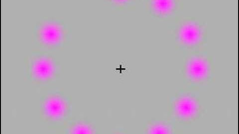 Circle Optical Illusion