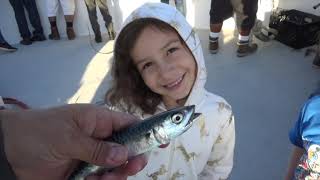 CA Vacation 2019 - Day 4 SD Fishing by ALBERT NIEBLA 21 views 3 years ago 6 minutes, 22 seconds