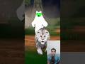 शेर को मिला भूतिया भालू | Animal Stories | Hindi Kahani #shorts