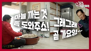 소문난 잉꼬부부 [남도지오그래피｜240325]