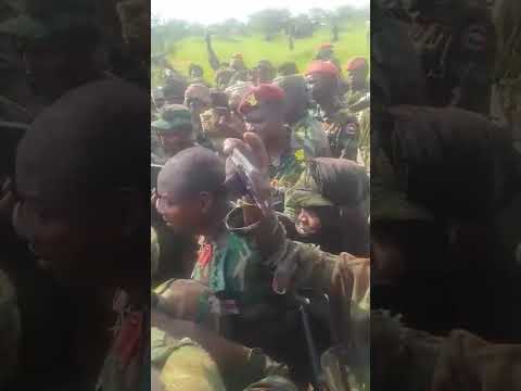 كباشي مع المشتركة