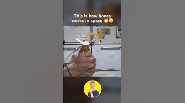 This is how honey works in space! 🍯😳 #honey #iss #space #gravity