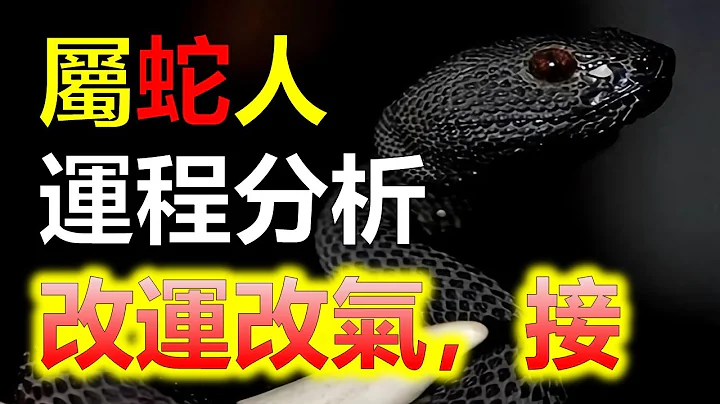 屬蛇人從今天開始，開始被幸福盯上，屬蛇人運勢穩步提升，事業愛情雙豐收屬蛇人開始迎來自己的幸運日，進入2024年以後，屬蛇人事業運勢將會得到提升，屬蛇人預測2024生肖運勢，十二生肖（生肖蛇）阿南德 - 天天要聞