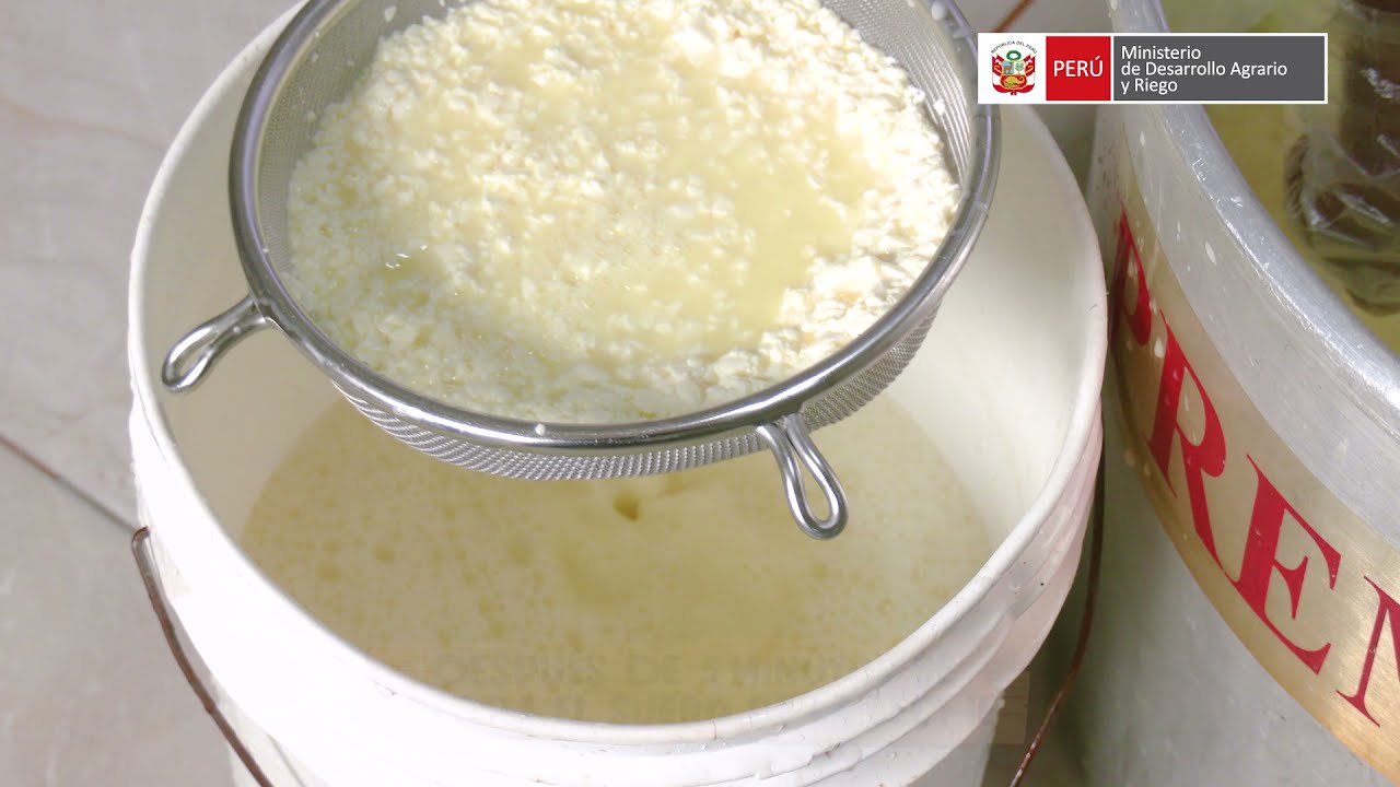 Preparación de queso fresco en Huarochirí - Maestros Queseros - YouTube