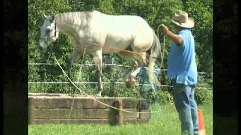 Horsemanship photography by Mary Mullen