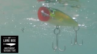 Sure Catch Tournament Popper review screenshot 5