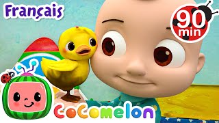 Où sont les canards | Chansons pour Bébés | CoComelon Le coin des Animaux de JJ - Comptines