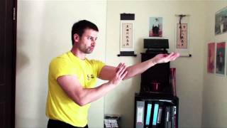 A Glimpse of Sifu Sergio's Daily Faat Ging basic level one Training