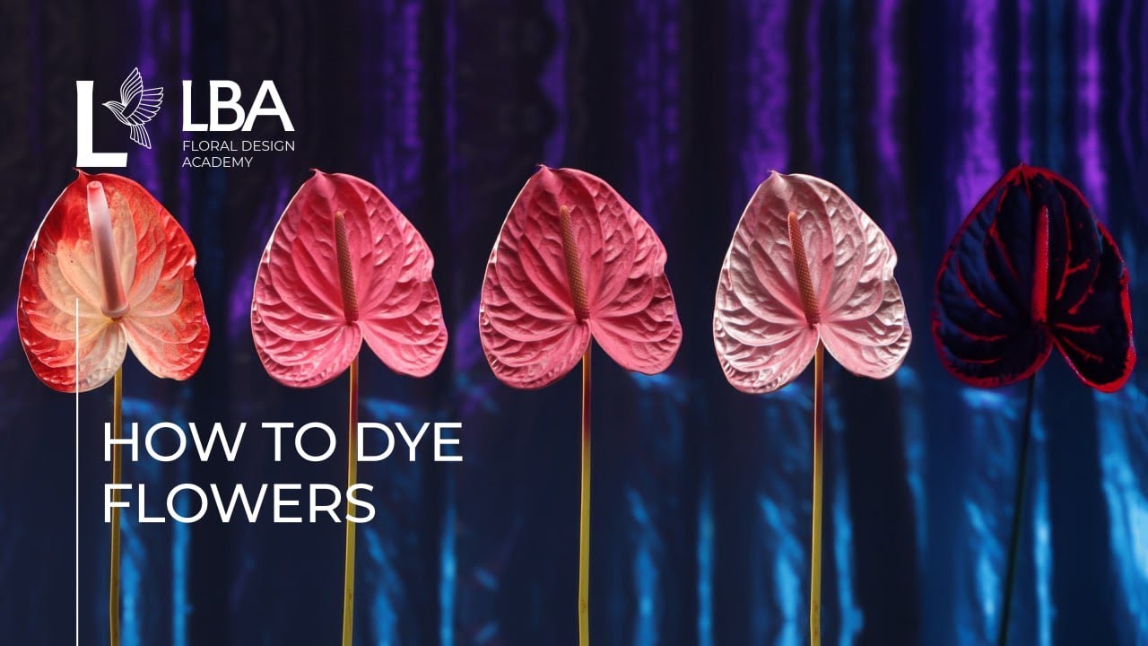 HOW TO DYE FLOWERS SPRAY PAINTING LBA TUTORIAL YouTube