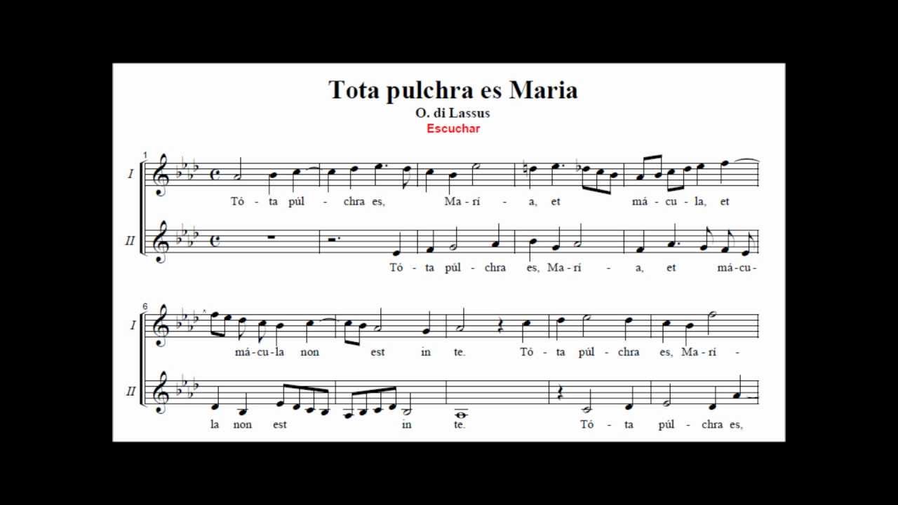 tota pulchra es maria testo