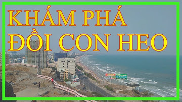 Khám phá đồi Con Heo ở núi Tao Phùng tại Vũng Tàu - KPVT